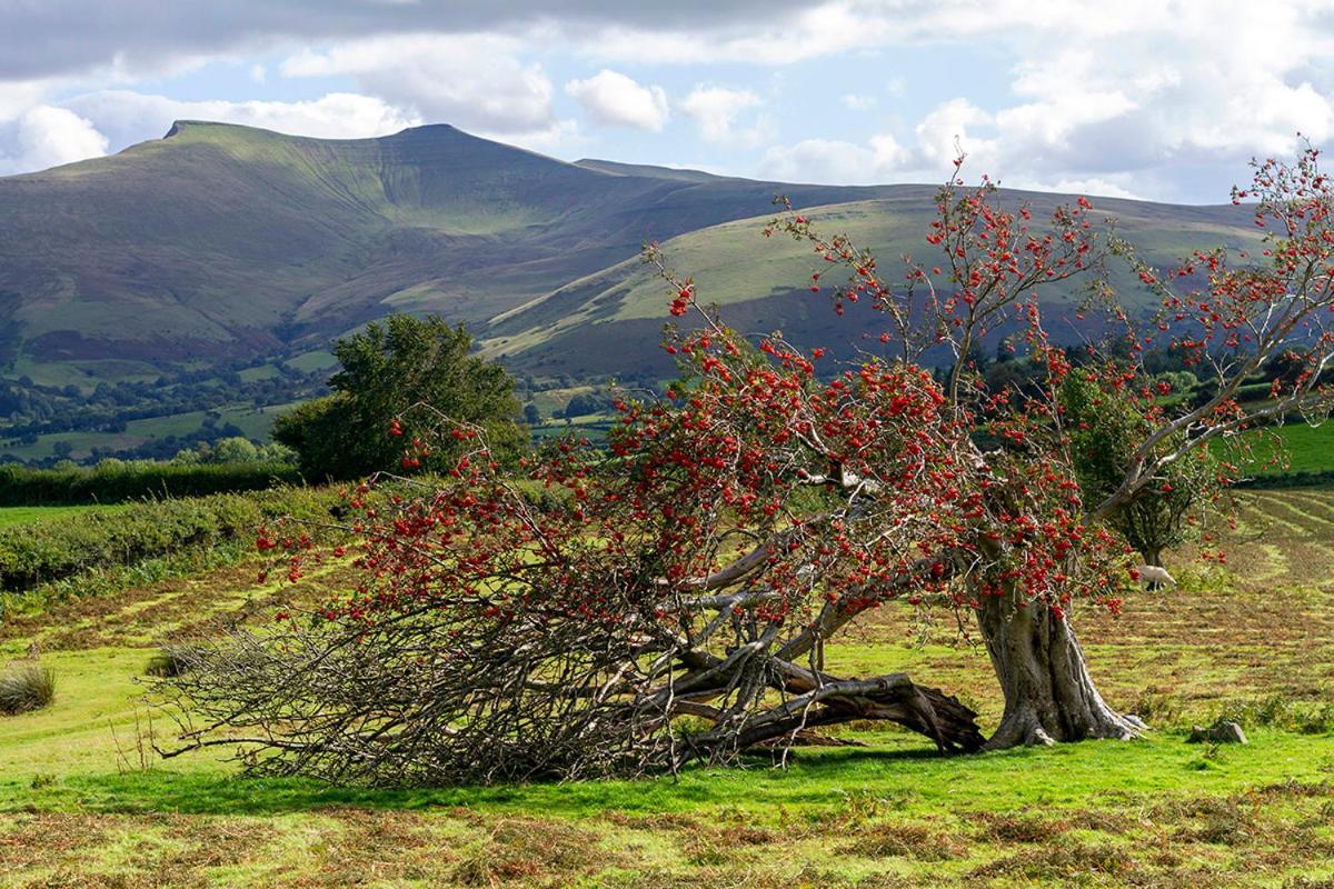 Picturesque 2 Bedroom Miners Cottage Near Bike Park Wales & Brecon Beacons Merthyr Tydfil Dış mekan fotoğraf